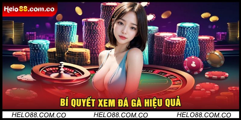 Bí Quyết Xem Đá Gà Hiệu Quả